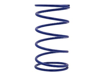 Obrázok z kontrastná pružina spojky  Polini -8% pre Piaggio