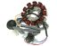 Obrázok z alternátor stator 12-pólov pre Minarelli s Ducati zapaľovanie (03-)