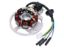 Obrázok z alternátor stator verzia 3 pre Keeway, CPI