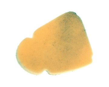 Obrázok z vzduchový filter penový -vložka pre Suzuki Katana