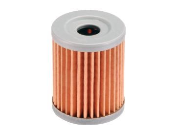 Obrázok z Olejový filter  Polini pre Suzuki Burgman 250, Yamaha Majesty 400