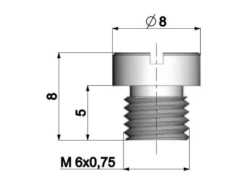 Obrázok z Hlavná tryska Polini 6mm pre Dellorto karburátor - 108
